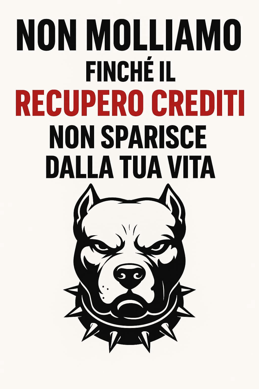 Pitbul Stoprecuperocrediti